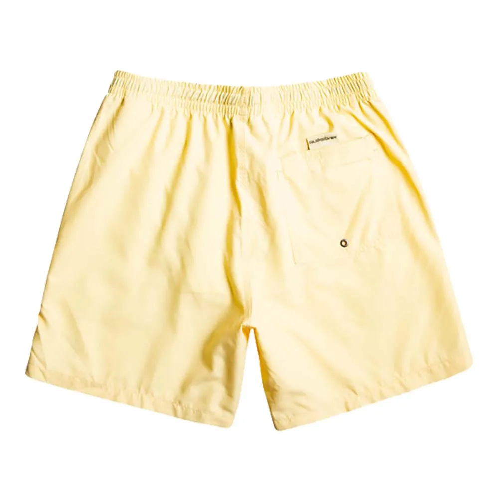 Quiksilver Everyday 17" Volley Swim Shorts