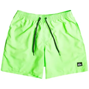 Quiksilver Everyday 17" Volley Swim Shorts